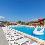 Nikoletta