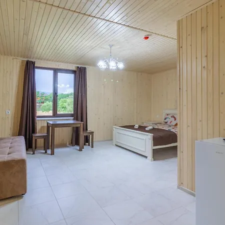 Nikoletta Hotel Solotwyno