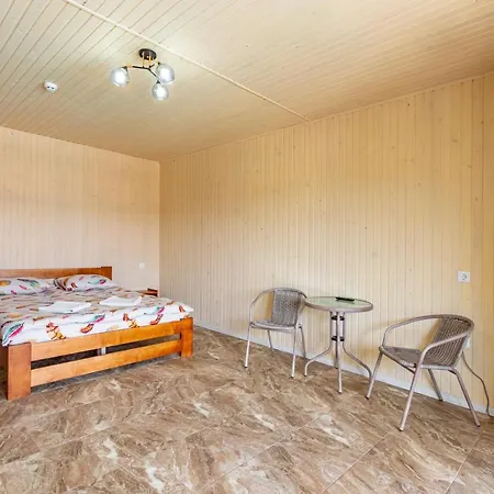 Nikoletta Hotel Solotwyno